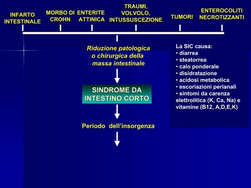 Int corto e resezioni