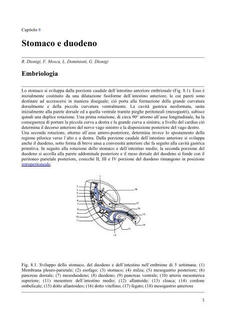 Stomaco e duodeno - Formatori Veneto