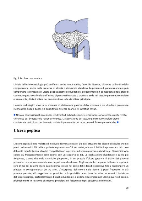 Stomaco e duodeno - Formatori Veneto