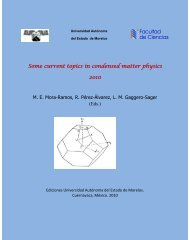 Some current topics in condensed matter physics 2010 - ifuap ...