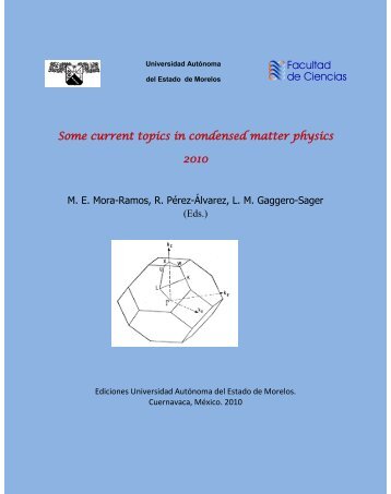 Some current topics in condensed matter physics 2010 - ifuap ...