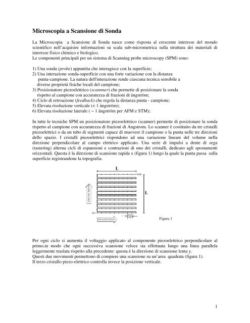 Microscopia a Scansione di Sonda - Cornia Group