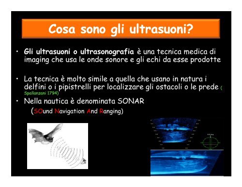 FISICA DEGLI ULTRASUONI ed ARTEFATTI