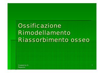 Ossificazione Rimodellamento Riassorbimento osseo - SunHope