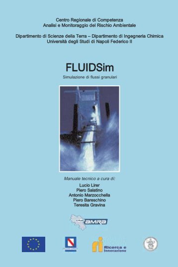 FLUIDSim. Simulazione di flussi granulari - Amra