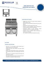 SERIE EMOTION 700 FRIGGITRICI GAS SIMPLE - Emotion Modular