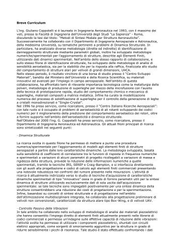 CV Coppotelli.pdf - Dipartimento di Meccanica e Aeronautica ...