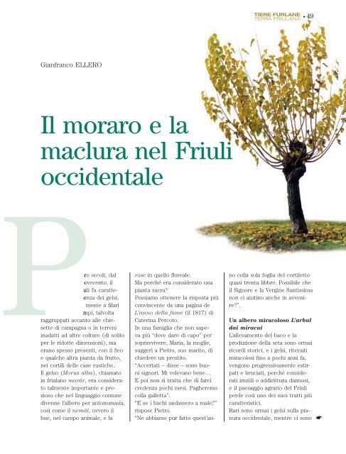 marzo 2010 - Anno 2 Numero 1 - Regione Autonoma Friuli Venezia ...