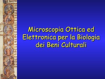 Lucidi - Università degli Studi di Siena