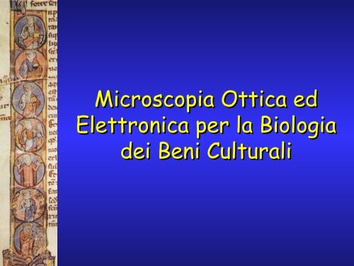 datazione campione bio buoni nomi utente Internet datati