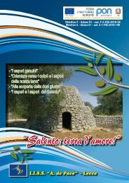 brochure Salento, terra d'amore.pdf