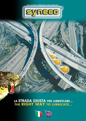 strada giusta - Syneco