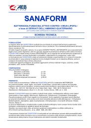 SANAFORM - aeb group