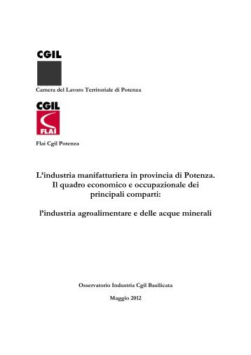 L'industria manifatturiera in provincia di Potenza. Il ... - CGIL Basilicata