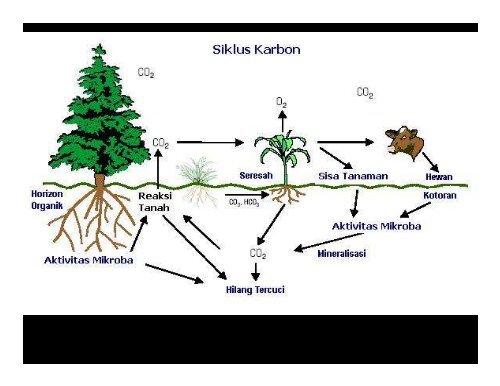 DIT-08-Sifat-Biologi-Tanah-Compatibility-Mode