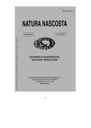 Natura Nascosta n° 34 - Il museo paleontologico