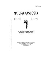 Natura Nascosta n° 35 - Il museo paleontologico