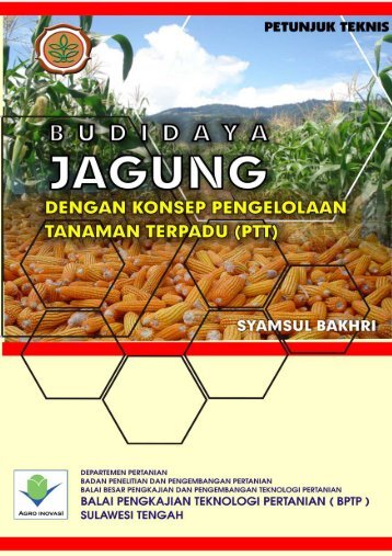 budidaya jagung dengan konsep pengelolaan - PFI 3 P - Badan ...