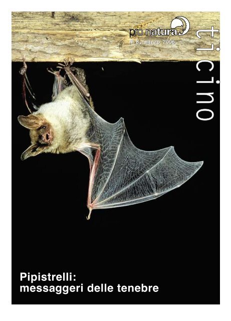 Pipistrelli: messaggeri delle tenebre - Pro Natura Ticino