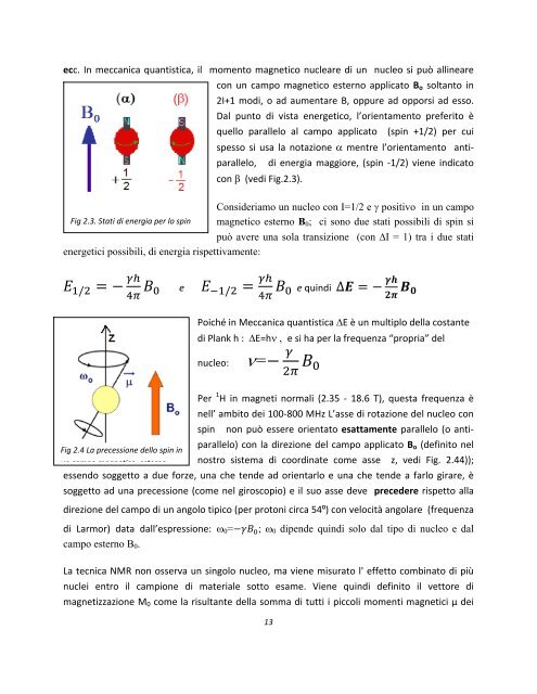 Programma di incentivazione delle Lauree Scientifiche - Fisica