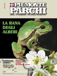 download rivista PDF - Regione Piemonte