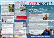 25 Jahre Nationalpark Wattenmeer – es bleibt viel zu tun