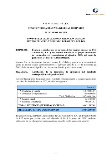 Referente a la Junta Ordinaria de 2008 (PDF - Cie Automotive