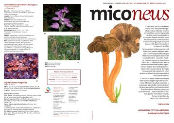 Miconews - settore agricoltura - Provincia di Venezia