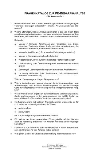 fragenkatalog zur pe-bedarfsanalyse - Dr. Schwan und Partner