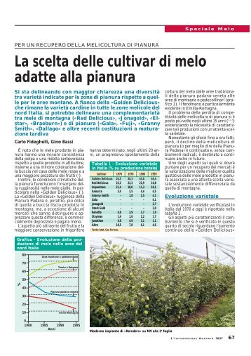 La scelta delle cultivar di melo adatte alla pianura - Provincia di ...