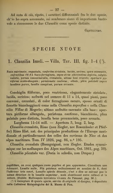 Bullettino malacologico italiano - Società Italiana di Malacologia