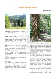 Arboreto di Vallombrosa - Floricoltura e Vivaismo