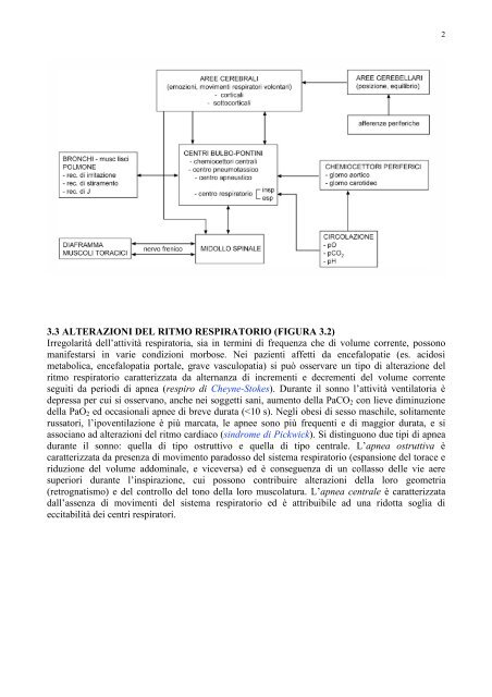 ELEMENTI DI MALATTIE DELL'APPARATO RESPIRATORIO ...