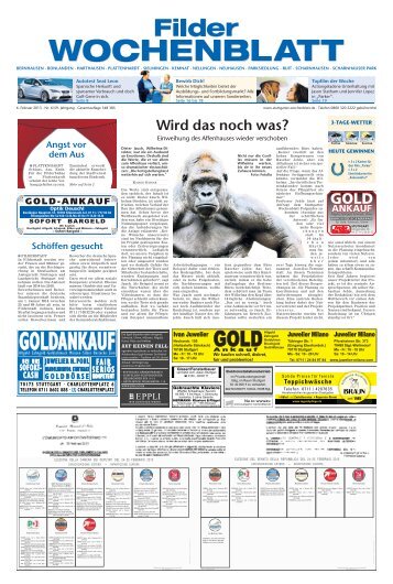 24-Stunden-Schwimmen, Stuttgarter Wochenblatt vom 06.02.2013