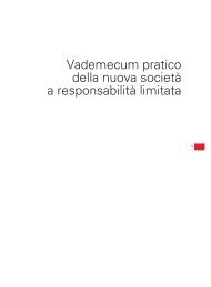 Vademecum pratico della nuova società a responsabilità limitata