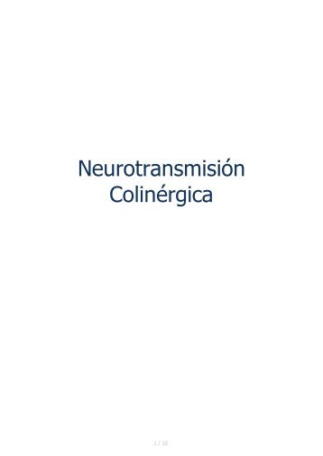 Neurotransmisión Colinérgica