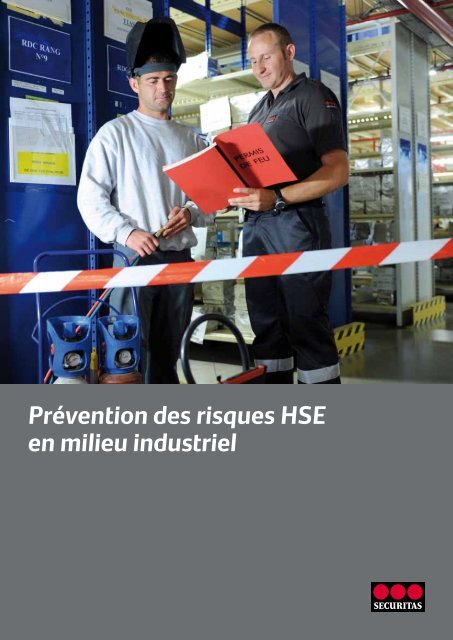 Prévention des risques HSE en milieu industriel - Securitas