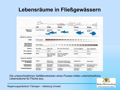 Flüsse und Bäche als Lebensraum