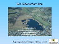 Der Lebensraum See