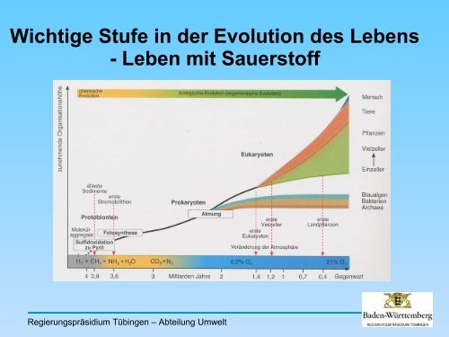 Anpassungen an das Leben im Wasser - Pflanzen