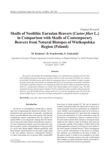 Skulls of Neolithic Eurasian Beavers (Castor fiber L.) in Comparison ...