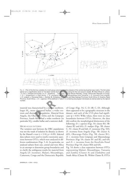 Mullin, S. K., Taylor, P. J. & Pillay, N. 2004. Skull size and ... - Durban