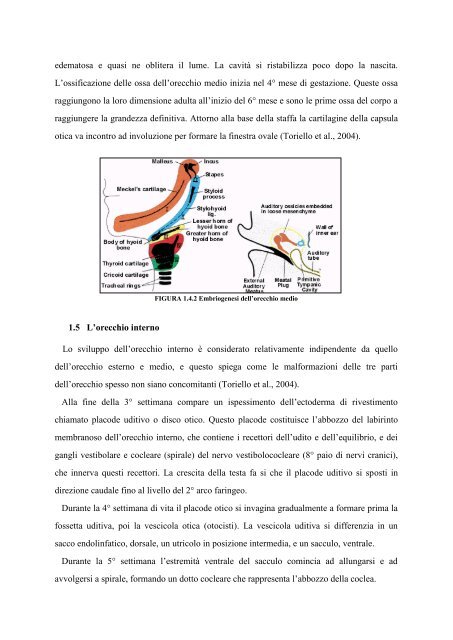 VALUTAZIONE AUDIOLOGICA NELLE SINDROMI CRANIO-FACCIALI