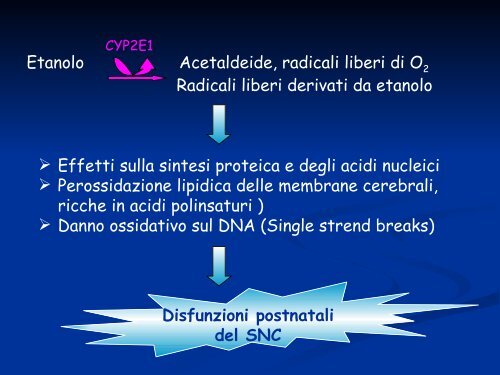 E. Testai - Istituto Superiore di Sanità