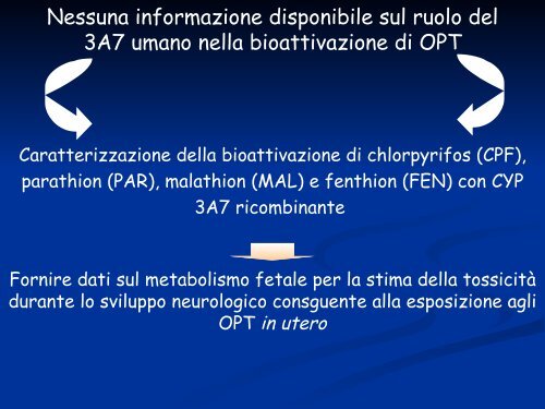 E. Testai - Istituto Superiore di Sanità