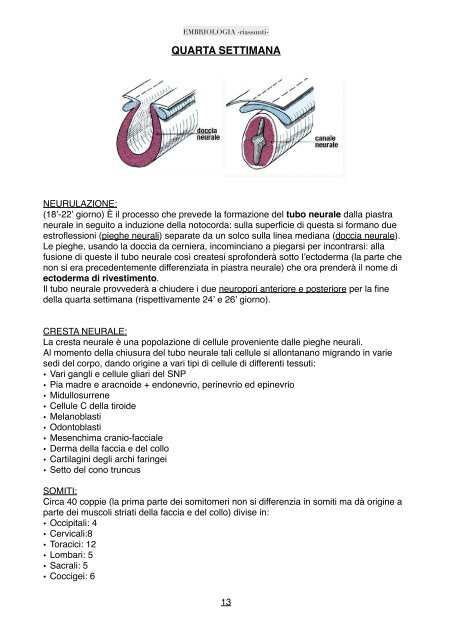 riassunto embriologia - MedWiki