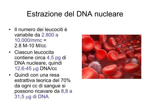 Lezioni di genetica medica, prima parte Triennali ... - Vincenzonigro.it