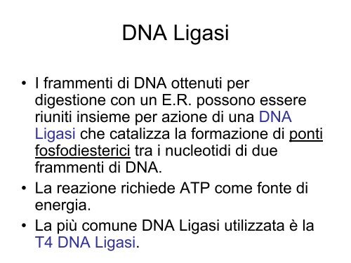 Lezioni di genetica medica, prima parte Triennali ... - Vincenzonigro.it