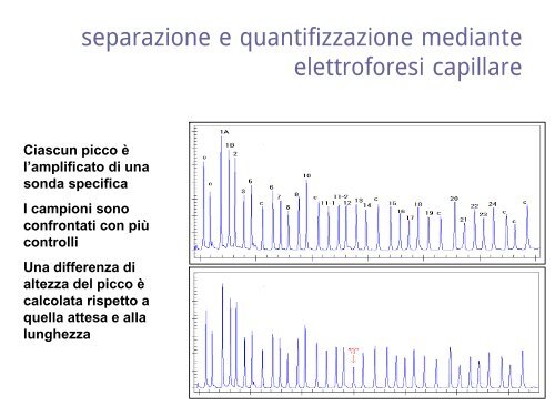 Lezioni di genetica medica, prima parte Triennali ... - Vincenzonigro.it