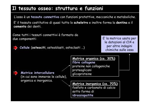 Lo scheletro umano - Università degli Studi della Tuscia